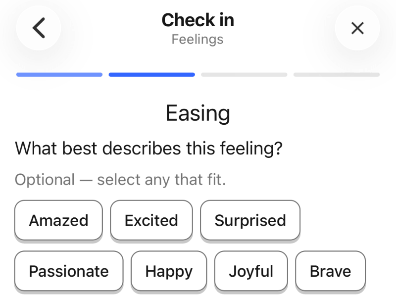 The daily check-in flow showing the mood spectrum